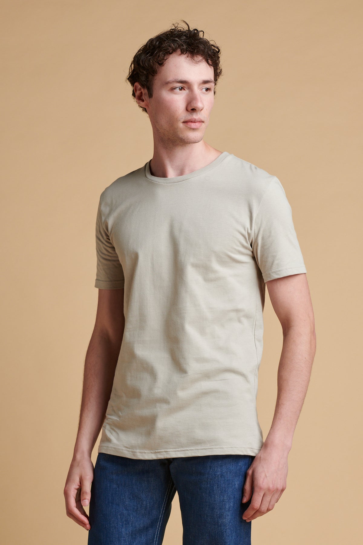 Mens Short Sleeve T Shirt - Stone